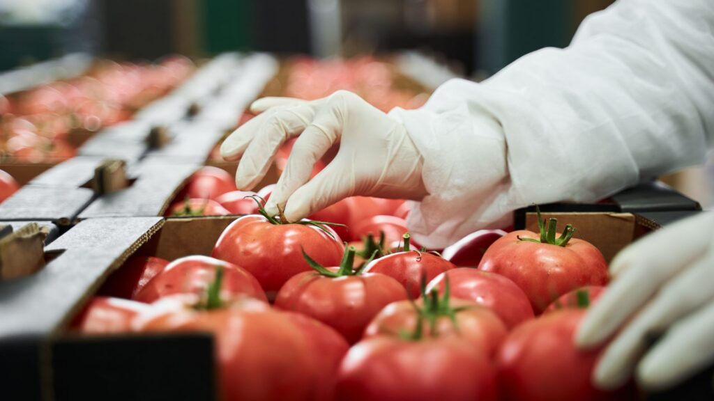 Always in Season: Why Fresh Produce Still Gets Picked