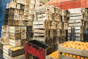 Fresh Produce » Fresh Produce »